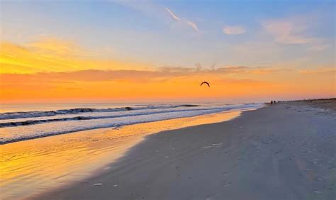 You can watch the St Augustine sunrise with ocean views! 🌴 Florida ...