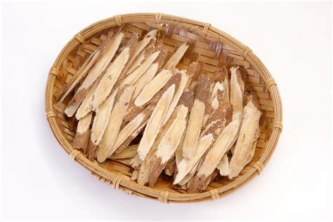 Health Benefits of Astragalus – Healing Blends