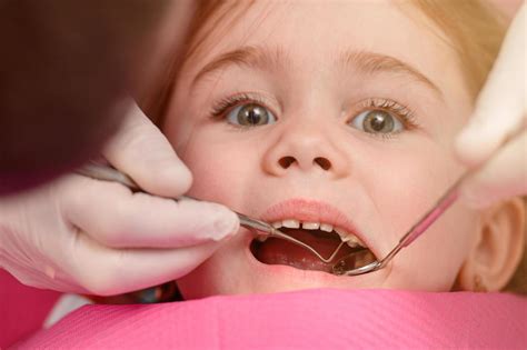 dentist examines  baby girls baby teeth  treatment  baby
