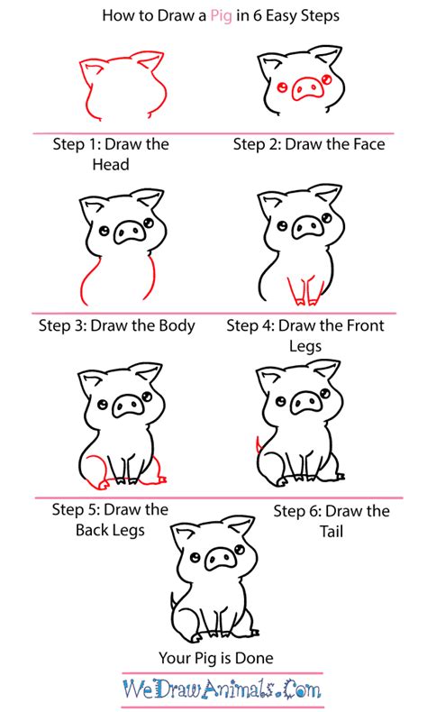 How to Draw a Baby Pig