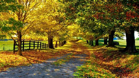screensavers  wallpaper nature wallpapersafari