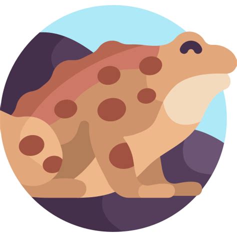 western toad  animals icons