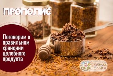Прополис в гинекологии — лечебные свойства и показания к применению