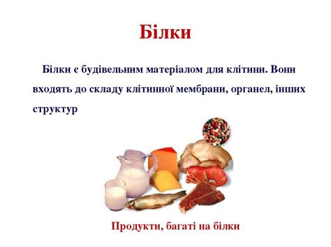 Презентація "Знайомство з клітиною" | Презентація. Біологія