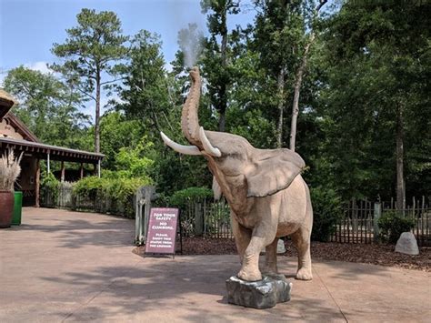 birmingham zoo aktuelle  lohnt es sich mit fotos