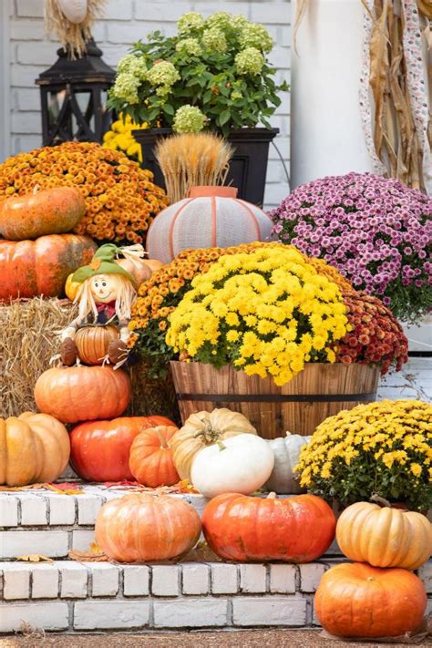 Pretty Fall Pictures With Pumpkins