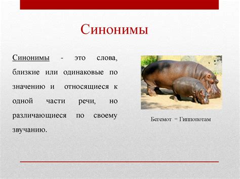 Синонимы. Антонимы. Омонимы. Паронимы - презентация онлайн