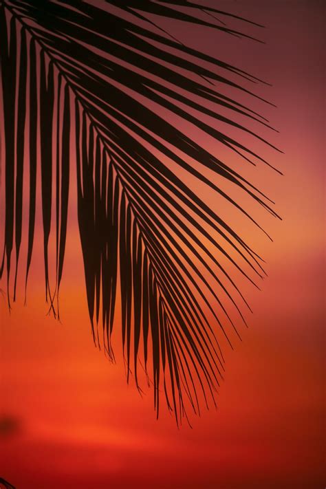 cool pictures hd   images stock   unsplash