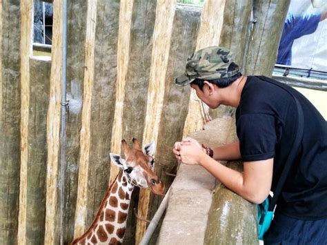 Avilon Zoo: A Awesome Weekend at a zoo in Montalban, Rizal - Wander B