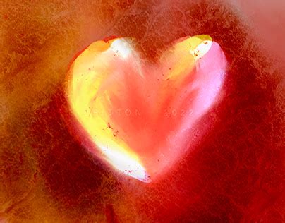 intensity projects   logos illustrations  branding