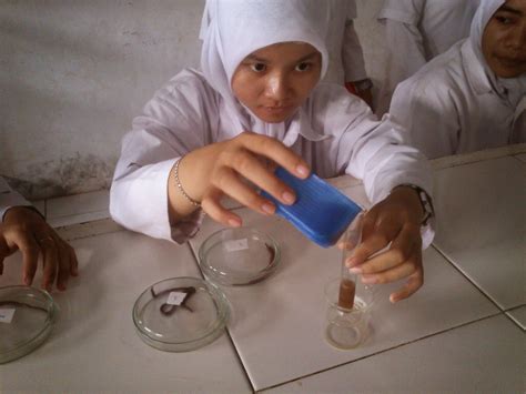 Pengertian Obat Herbal dan Definisi Obat herbal | OBAT DARI HERBAL