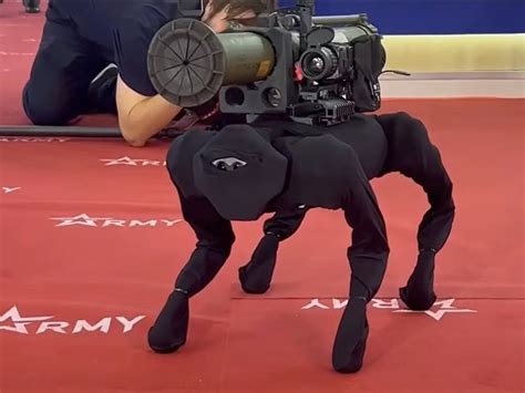 Russian robot dog armed with rockets is modified Chinese pet bot | The ...