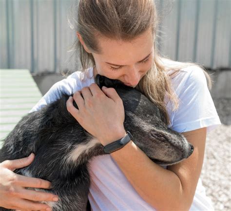 Aggressive Behavior in Rescue Dogs