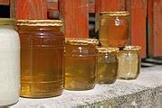 Category:AnnKas - Wikimedia Commons
