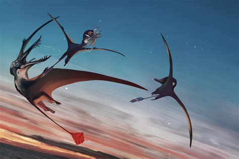 One Of The Largest Pterosaur Fossils Ever Found Is Rewriting Their ...