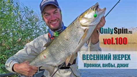 Весенний жерех Кренки, вибы, джиг #OnlySpin - YouTube