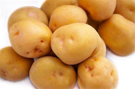 Premium Photo | Human staple food fresh potato potato fresh