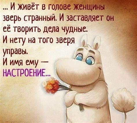Веселые картинки (41 фото) | Юморные цитаты, Юмористические цитаты ...