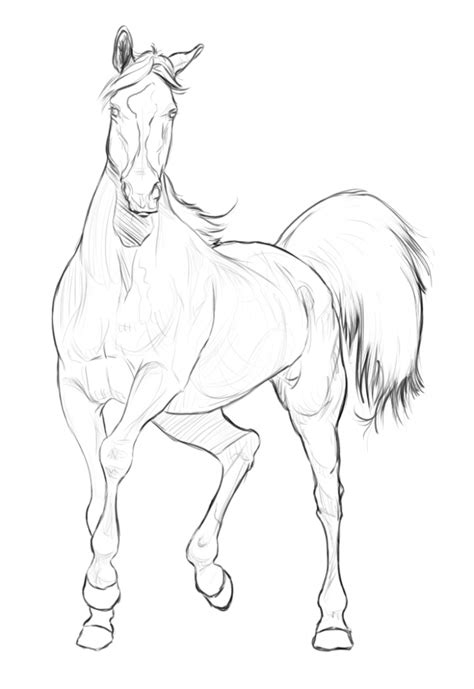 50+ Easy Animal Sketches Drawing Ideas - HARUNMUDAK