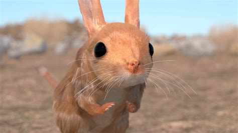 Spice Up Your Life: 3D Models Inspired by Dune: Part Two - TurboSquid Blog