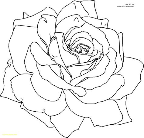 Heart And Rose Drawing In Pencil at GetDrawings | Free download