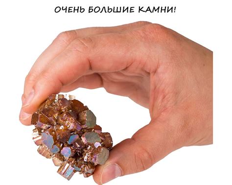 Образовательный набор камней, минералов и доисторических окаменелостей ...