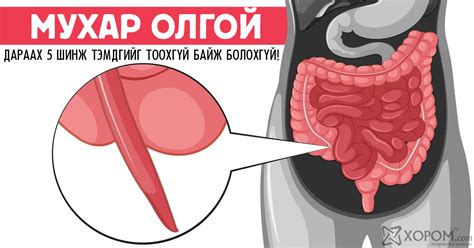 Мухар олгойн эхэн үеийн 5 шинж тэмдэг
