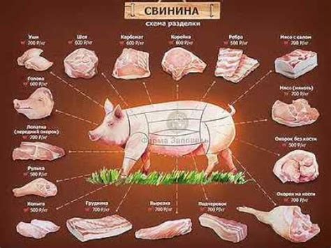 Как правильно разделать Свиной окорок!!! - YouTube