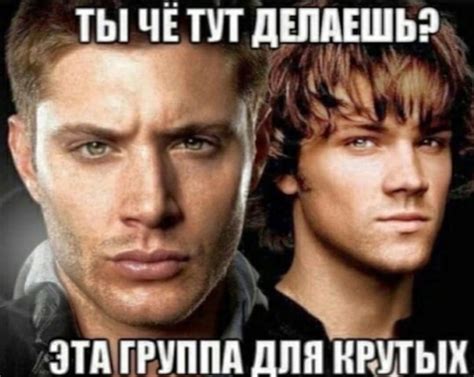 коза в тазике | ВКонтакте