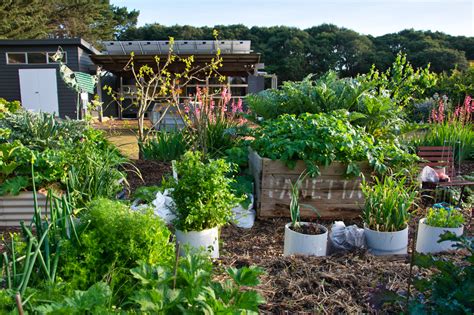 Water wise tips – Barwon Heads Community Arts Garden
