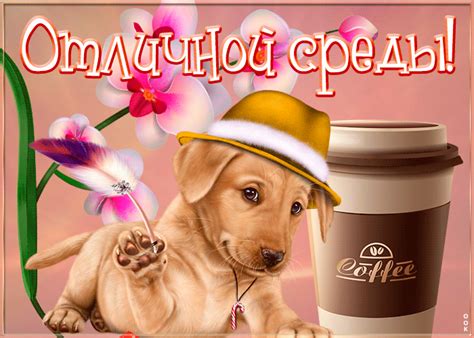 Картинка отличной среды с собачкой | Открытки Онлайн