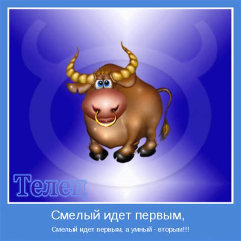 Скачать прикольные и красивые картинки: Характеристика знаков зодиака ...