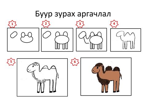 Таван хошуу мал зурах аргачлал | бүүвэй
