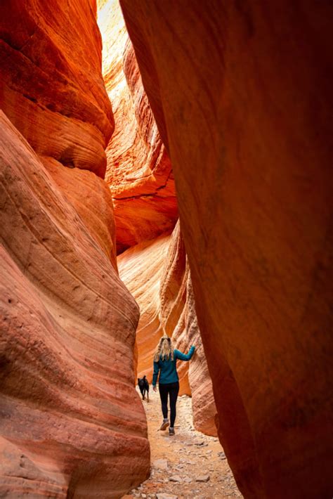top    hikes  zion national park zion weeping buffalo