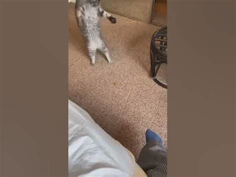 Aa-Aa-Aa 3x 🤣 - YouTube