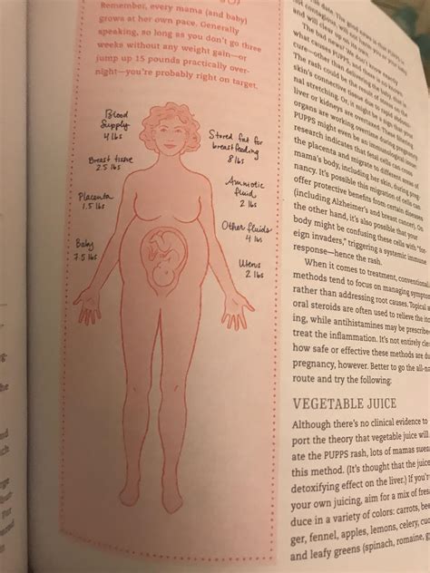 Where the average weight gain goes : r/BabyBumps