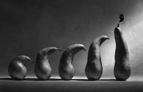 The evolution by Victoria Ivanova