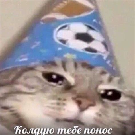 ﻿Иолццю тебе понес / суки ебаные :: тишина в аноне :: заебала :: anon ...