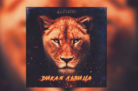 Alex&Rus «Дикая львица»: история песни, интересные факты, текст, содержание