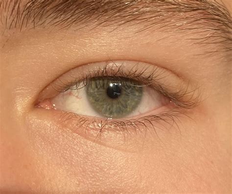 Blue-Gray or Green-Grey? : r/eyes