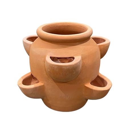 Terracotta Strawberry Pot Tall - Graceville Imports