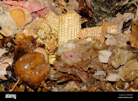 kitchen midden  res stock photography  images alamy