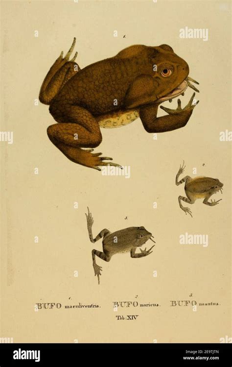 N124 hi-res stock photography and images - Alamy