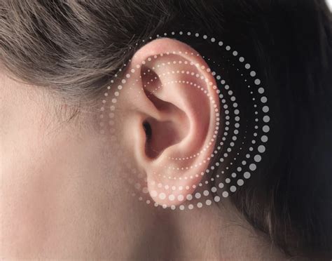 Auriculoterapia Para Emagrecer - Auriculoterapia para emagrecer: saiba como funciona!