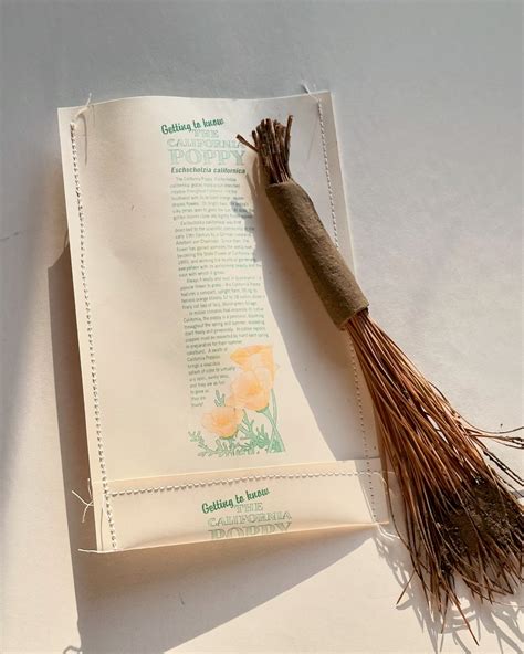 𝘛𝘩𝘦 𝘗𝘦𝘳𝘪𝘴𝘩 𝘛𝘳𝘶𝘴𝘵 (@theperishtrust) • Instagram photos and videos