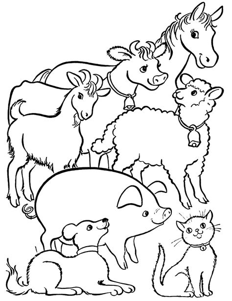 50+ Desenhos de Animais para colorir - Dicas Práticas