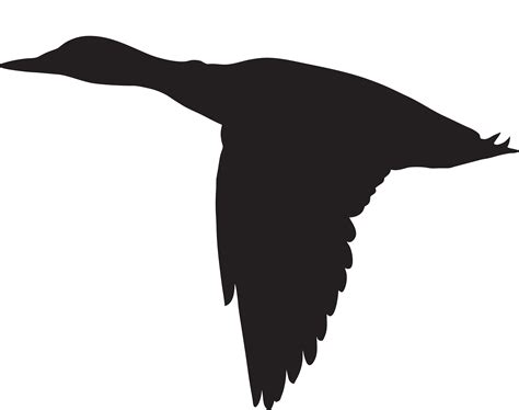 duck clip art black and white 7