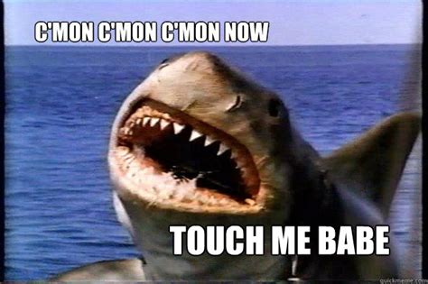 Jaws memes | quickmeme