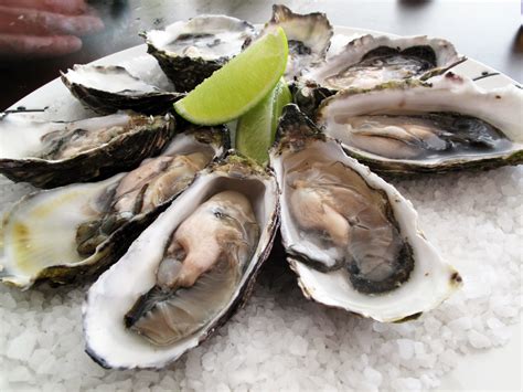 oysters  alive  served business insider