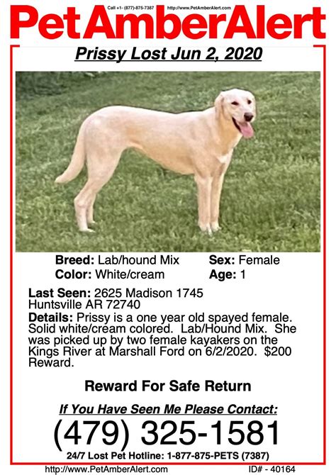 east padden animal hospital 9